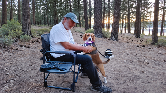 Baylee the beagle standing beside a seated family member at a wooded campsite with a black Pup Stack nearby