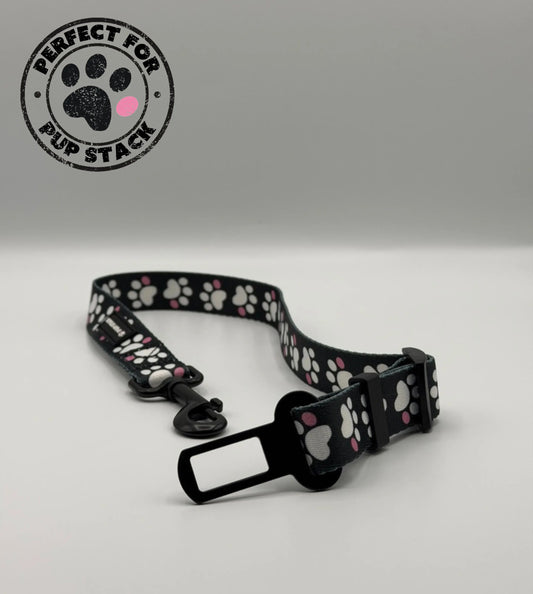 Dog Seat Belt