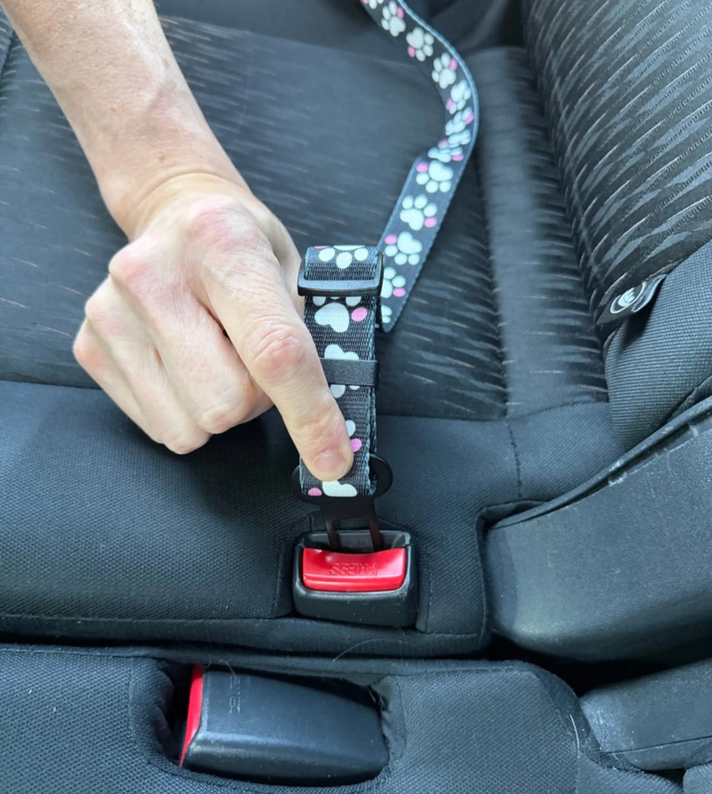 Dog Seat Belt