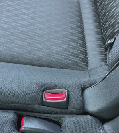 Dog Seat Belt